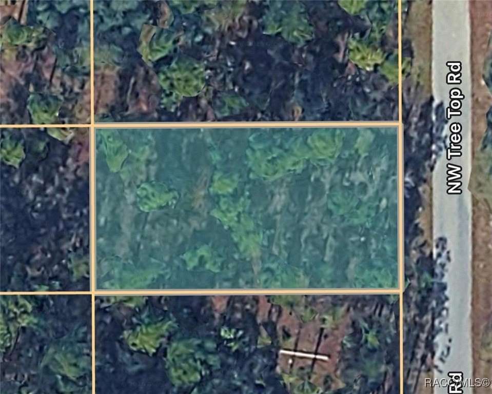 0.25 Acres of Residential Land for Sale in Dunnellon, Florida