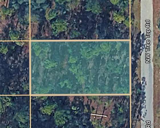 0.25 Acres of Residential Land for Sale in Dunnellon, Florida
