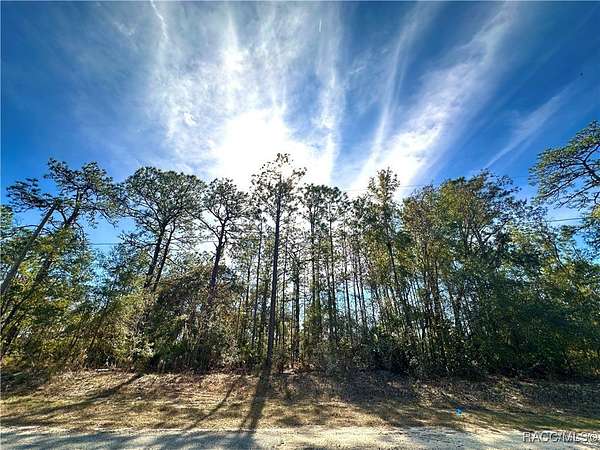 0.23 Acres of Land for Sale in Citrus Springs, Florida