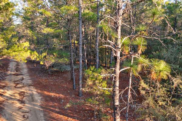 0.92 Acres of Residential Land for Sale in DeFuniak Springs, Florida