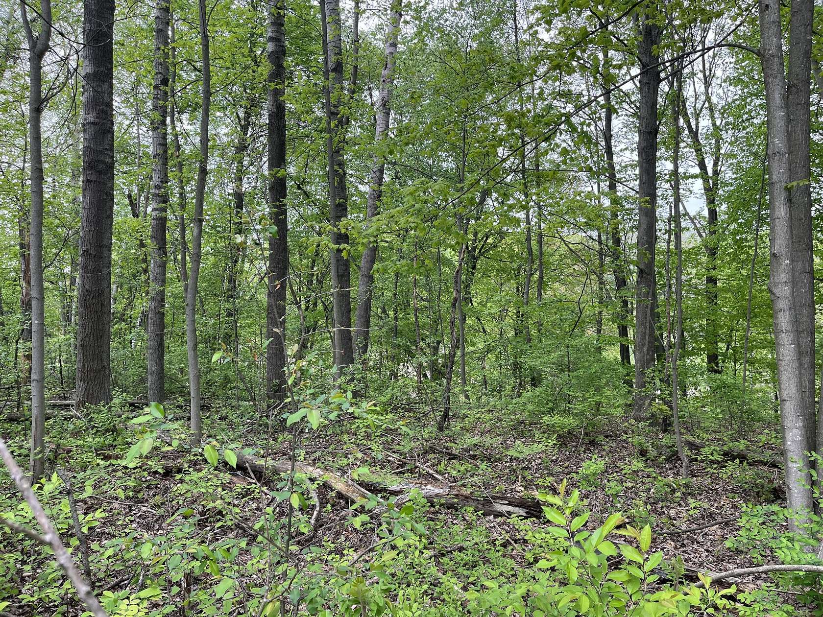 1.26 Acres of Land for Sale in Remus, Michigan