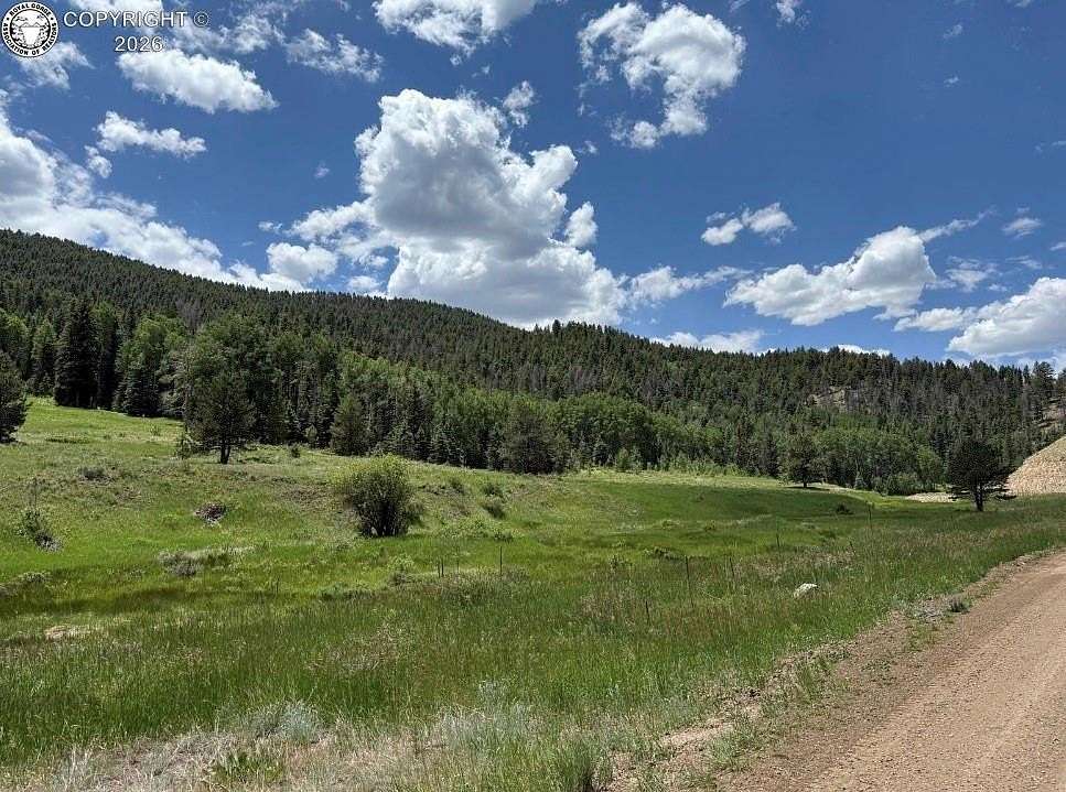 132 Acres of Recreational Land for Sale in Westcliffe, Colorado