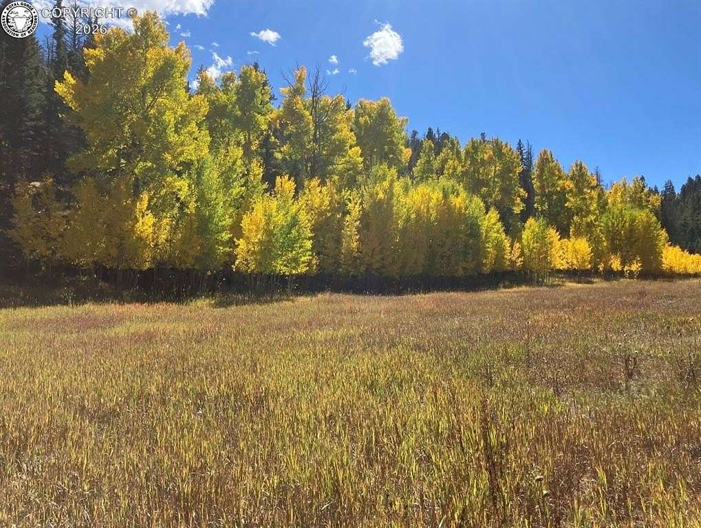 132 Acres of Recreational & Residential Land for Sale in Westcliffe, Colorado