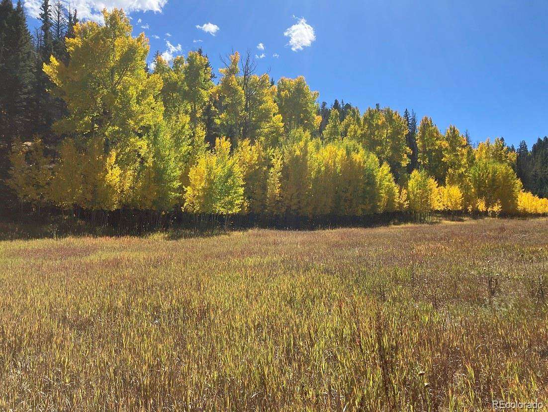 132 Acres of Recreational & Residential Land for Sale in Westcliffe, Colorado