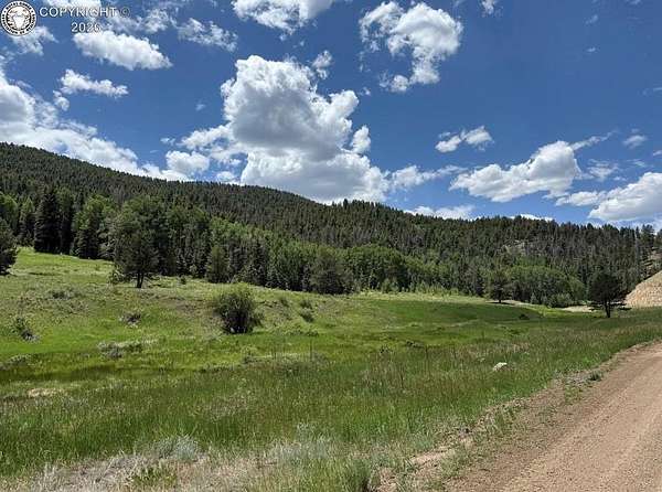 132 Acres of Recreational Land for Sale in Westcliffe, Colorado