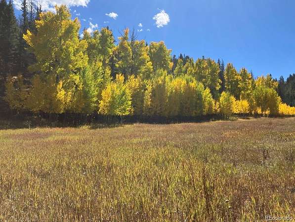 132 Acres of Recreational & Residential Land for Sale in Westcliffe, Colorado