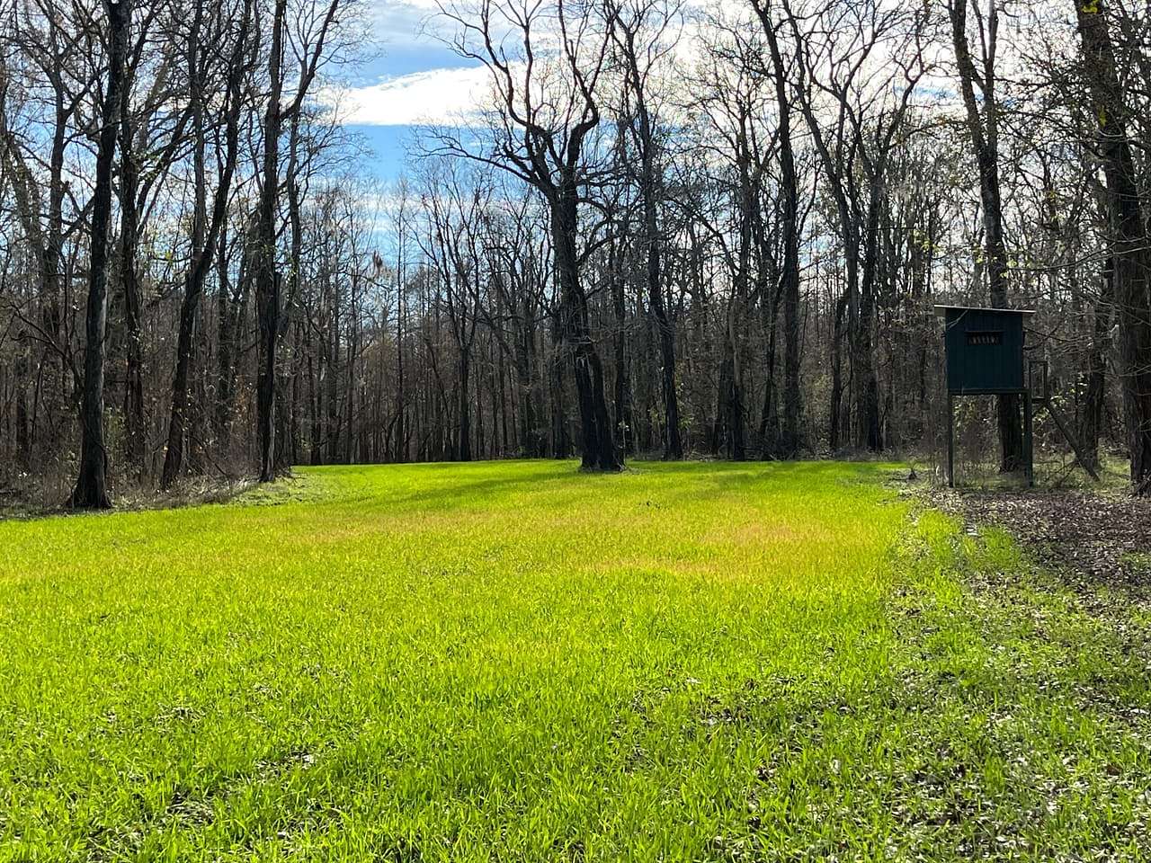 340 Acres of Recreational Land for Sale in Vidalia, Louisiana