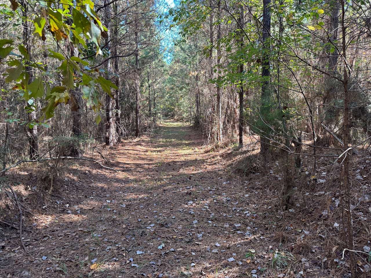40 Acres of Recreational Land for Sale in Bay Springs, Mississippi