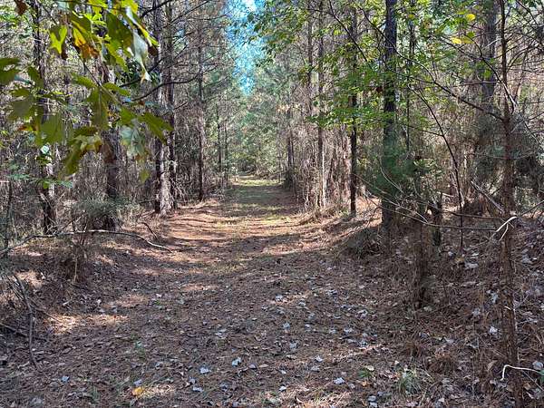 40 Acres of Recreational Land for Sale in Bay Springs, Mississippi