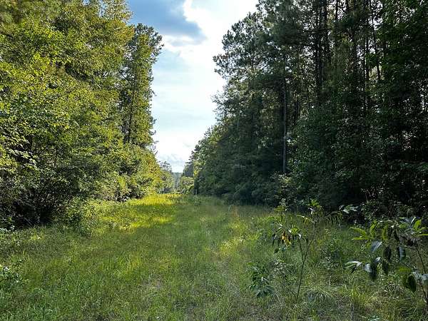 753 Acres of Land for Sale in Wiggins, Mississippi