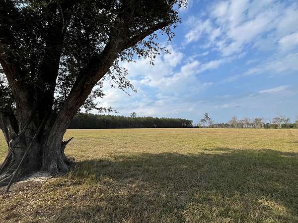 5.87 Acres of Residential Land for Sale in Walker, Louisiana