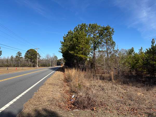 66 Acres of Recreational Land for Sale in Blenheim, South Carolina