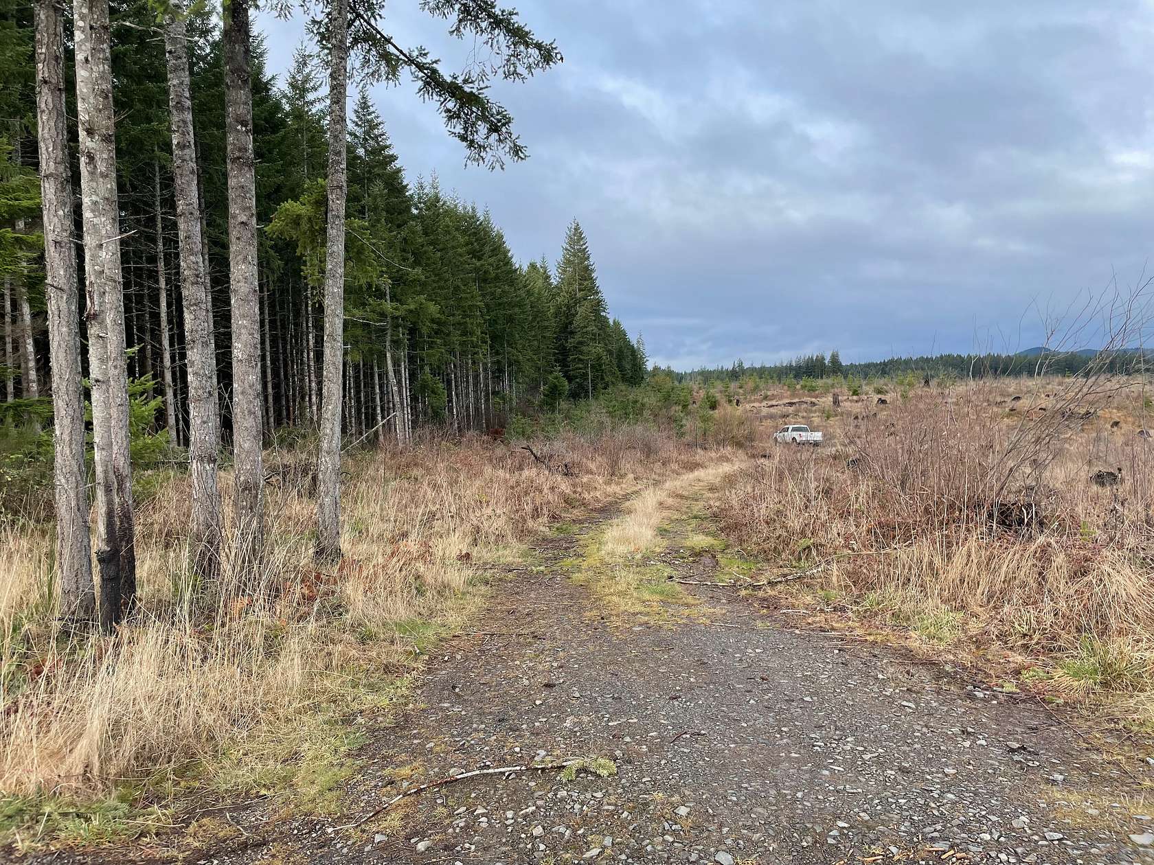 19.7 Acres of Land for Sale in Estacada, Oregon
