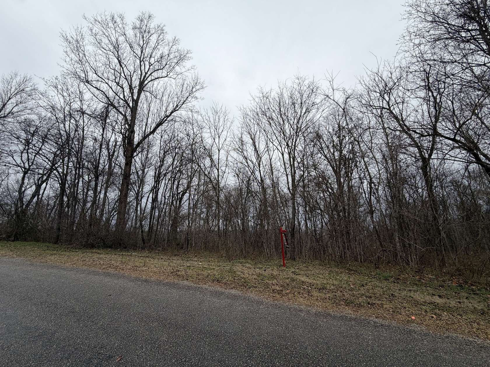 5 Acres of Residential Land for Sale in Hampshire, Tennessee