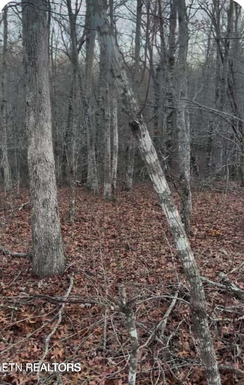 1.5 Acres of Residential Land for Sale in Monterey, Tennessee