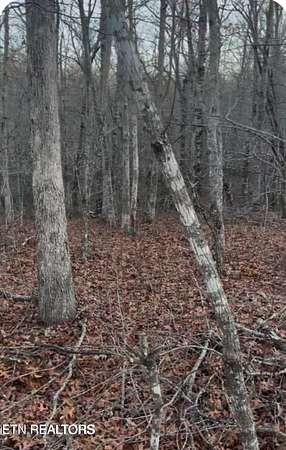 1.5 Acres of Residential Land for Sale in Monterey, Tennessee