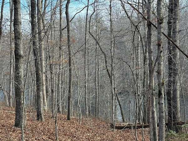 1.5 Acres of Land for Sale in Monterey, Tennessee