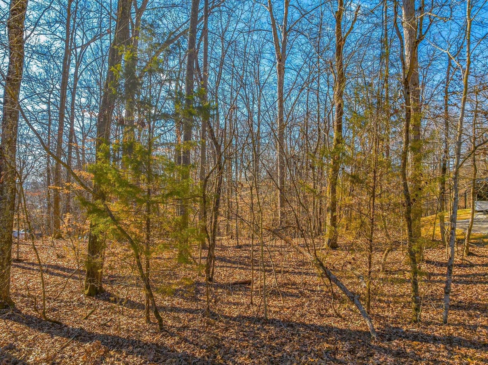 0.97 Acres of Residential Land for Sale in Rutledge, Tennessee