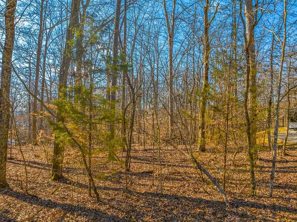 0.97 Acres of Residential Land for Sale in Rutledge, Tennessee