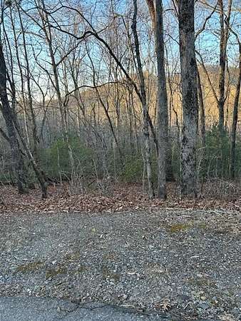 0.4 Acres of Land for Sale in Hiawassee, Georgia