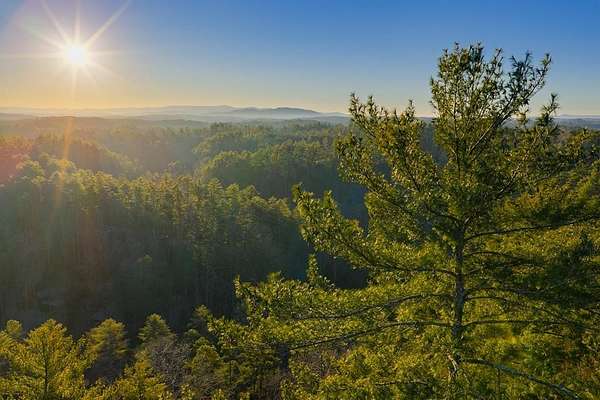 0.75 Acres of Residential Land for Sale in Ellijay, Georgia