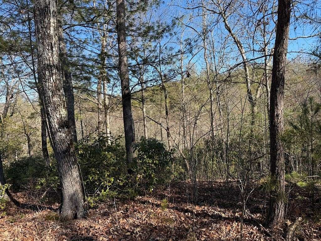 1 Acre of Residential Land for Sale in Murphy, North Carolina