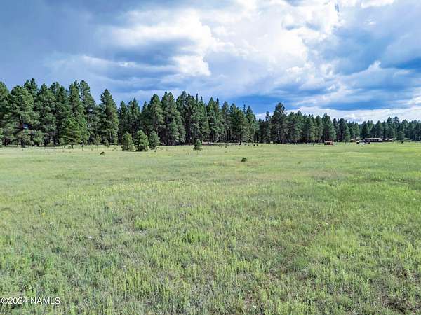 1.23 Acres of Residential Land for Sale in Flagstaff, Arizona