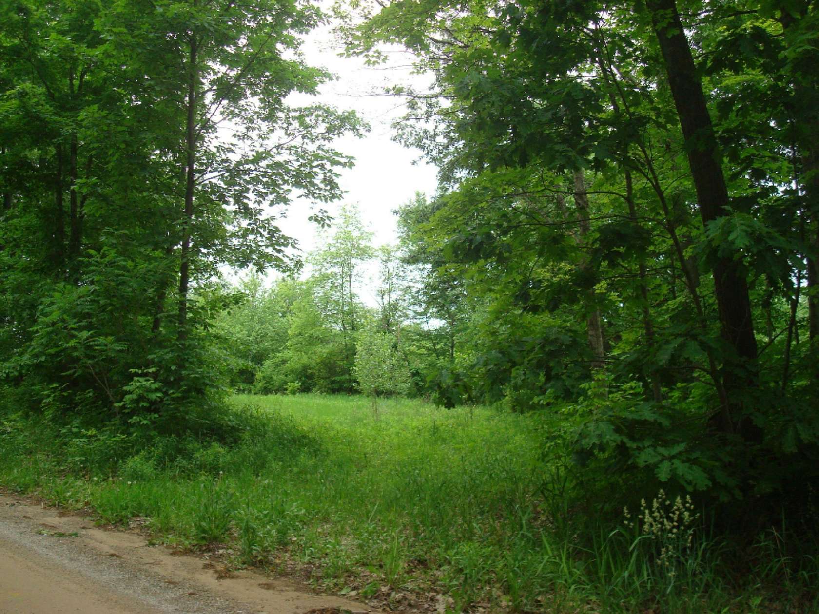10 Acres of Residential Land for Sale in Hillsdale, Michigan