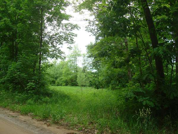 10 Acres of Residential Land for Sale in Hillsdale, Michigan