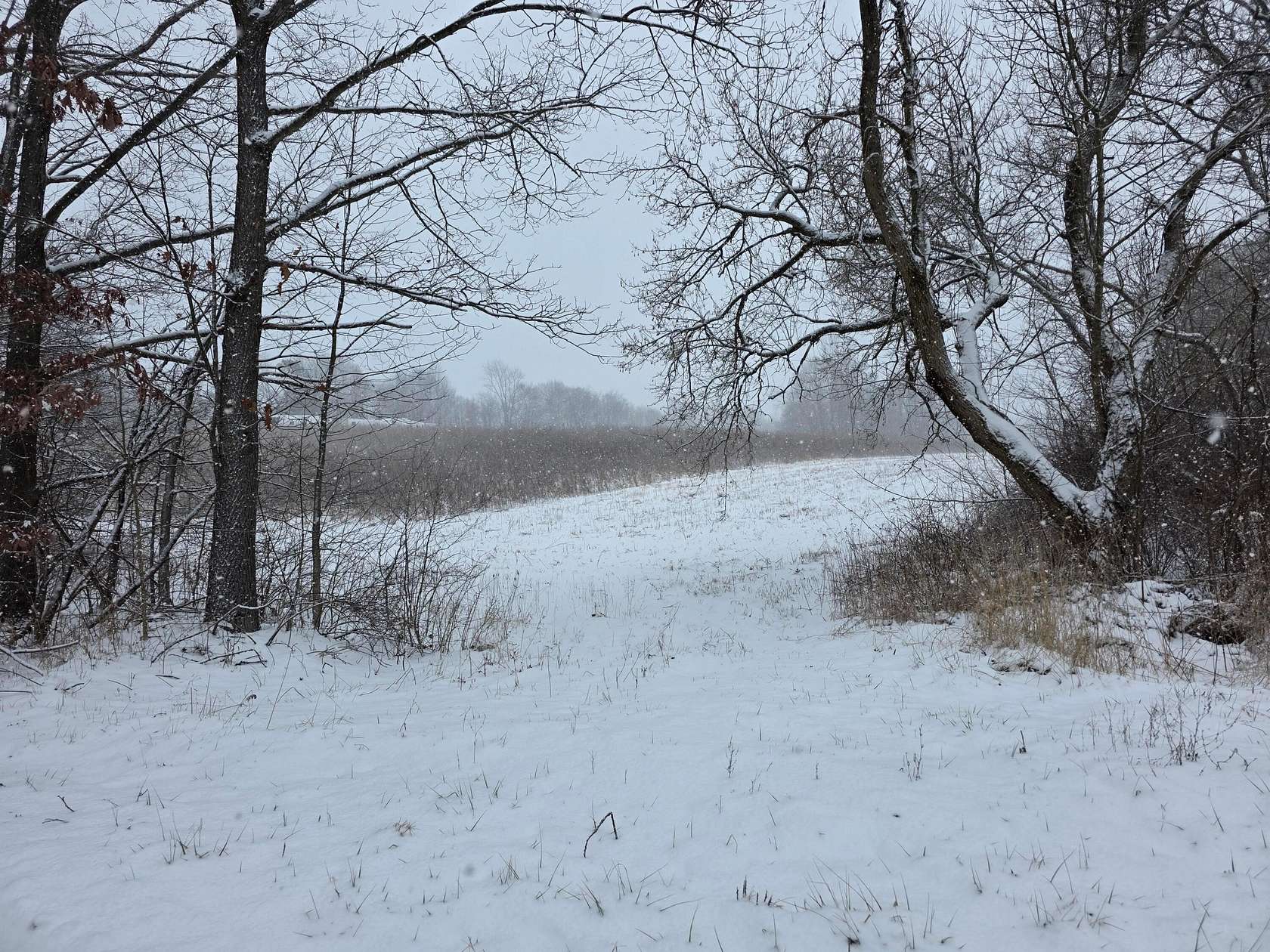 9 Acres of Residential Land for Sale in Bellville, Ohio