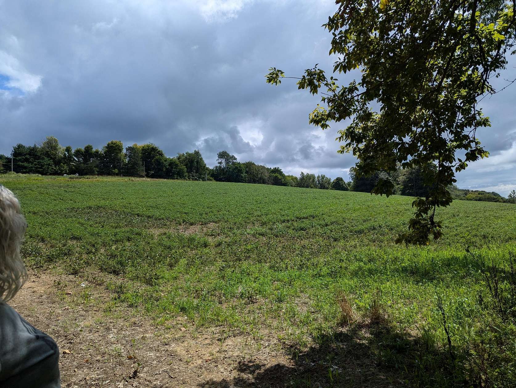 9 Acres of Residential Land for Sale in Bellville, Ohio