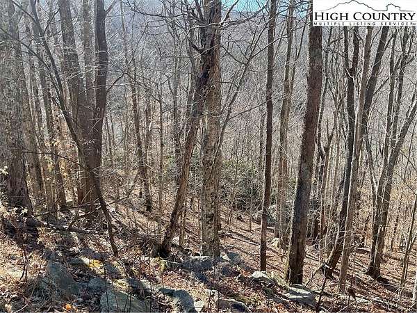 0.32 Acres of Land for Sale in Beech Mountain, North Carolina