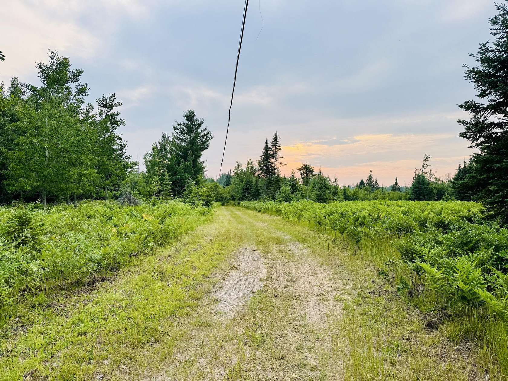 22.4 Acres of Recreational Land for Sale in Alpena, Michigan