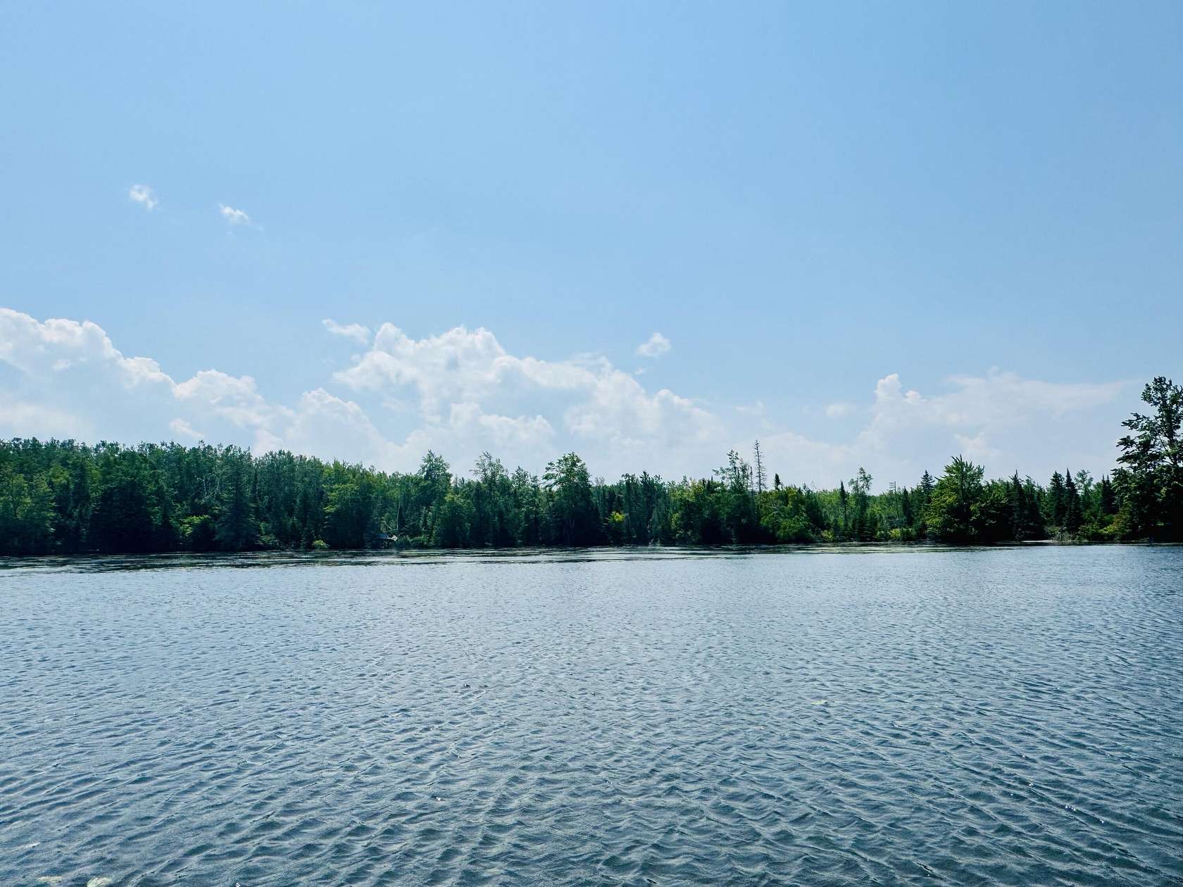 22.4 Acres of Recreational Land for Sale in Alpena, Michigan