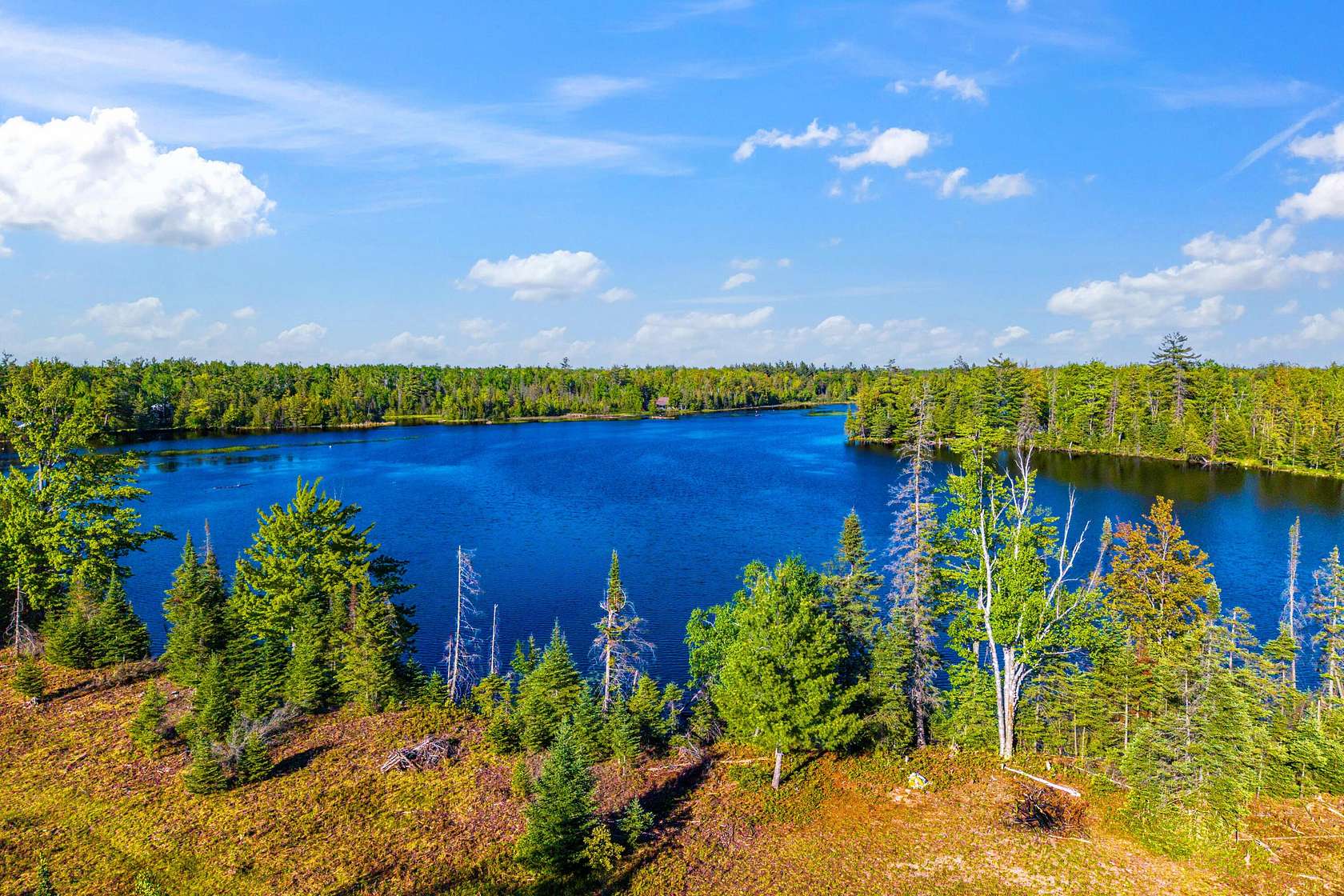 22.4 Acres of Recreational Land for Sale in Alpena, Michigan