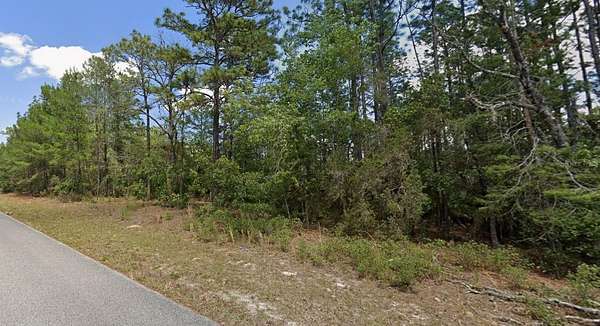 0.23 Acres of Residential Land for Sale in Citrus Springs, Florida