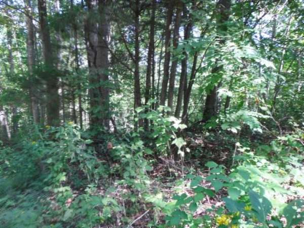 1.8 Acres of Residential Land for Sale in Baxter, Tennessee