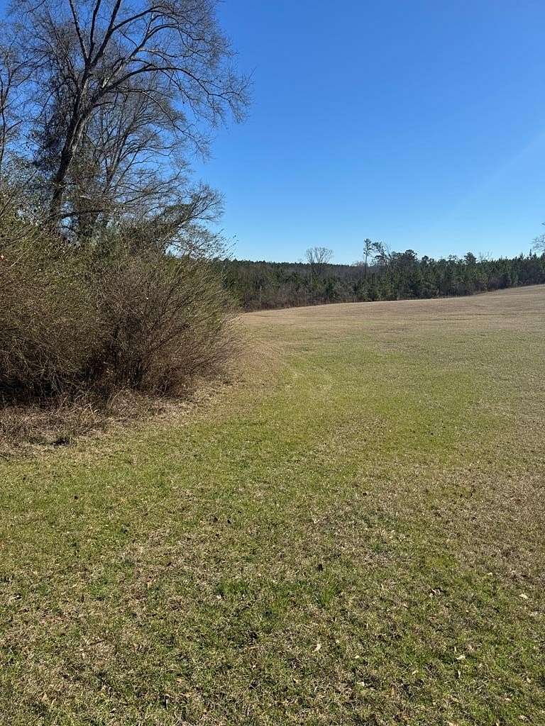 5 Acres of Land for Sale in Needmore, Alabama