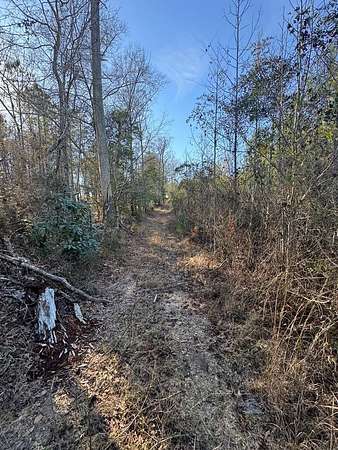 46 Acres of Recreational & Residential Land for Sale in Needmore, Alabama