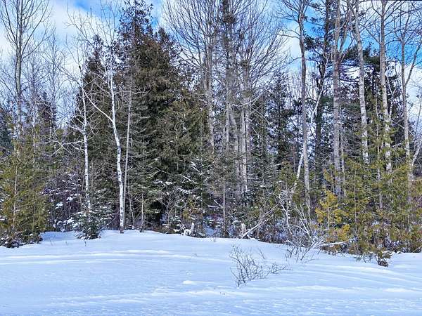 0.31 Acres of Residential Land for Sale in Presque Isle, Michigan