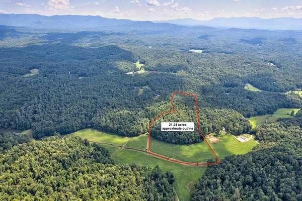 21.2 Acres of Land for Sale in Ellijay, Georgia