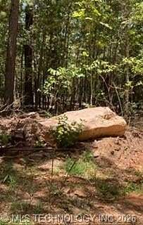 20 Acres of Recreational Land for Sale in Antlers, Oklahoma