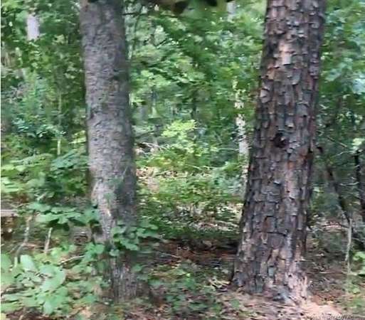 20 Acres of Recreational Land for Sale in Antlers, Oklahoma