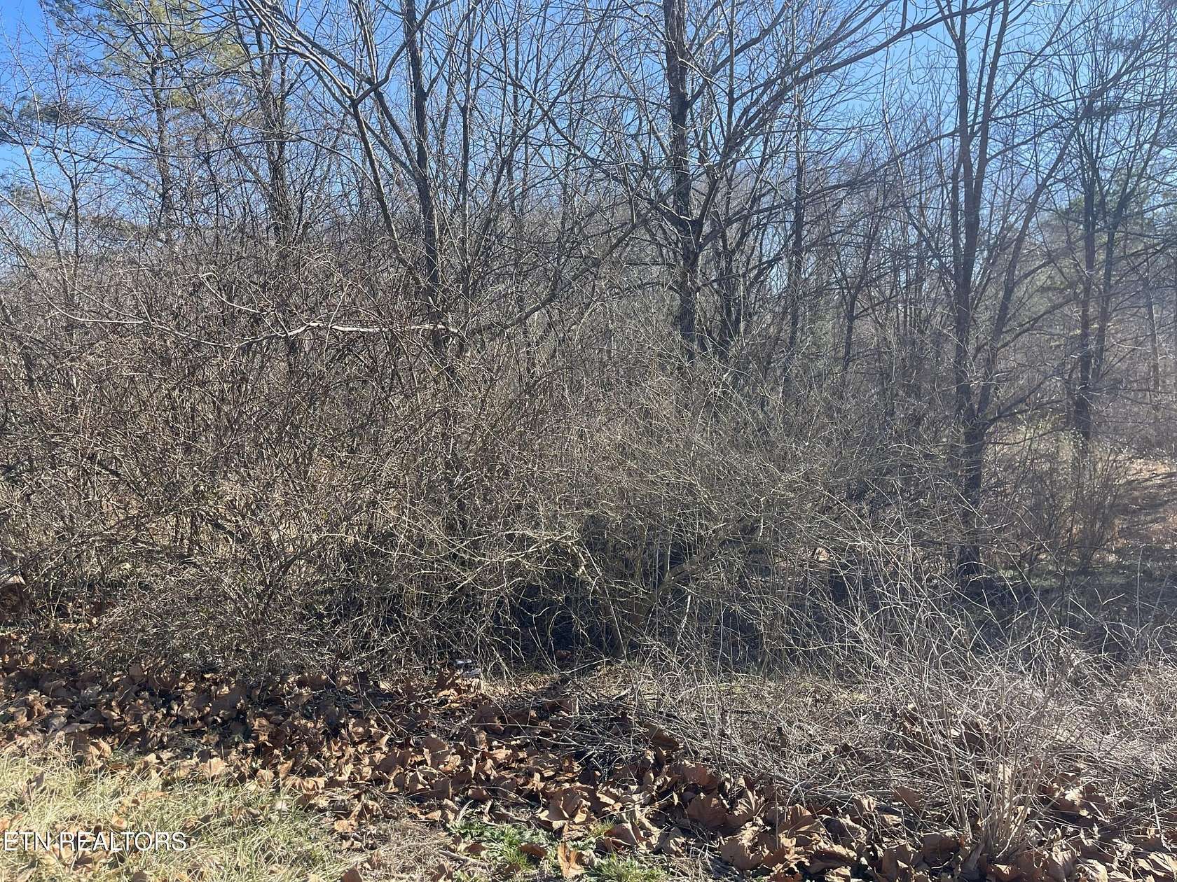 0.47 Acres of Land for Sale in Crossville, Tennessee