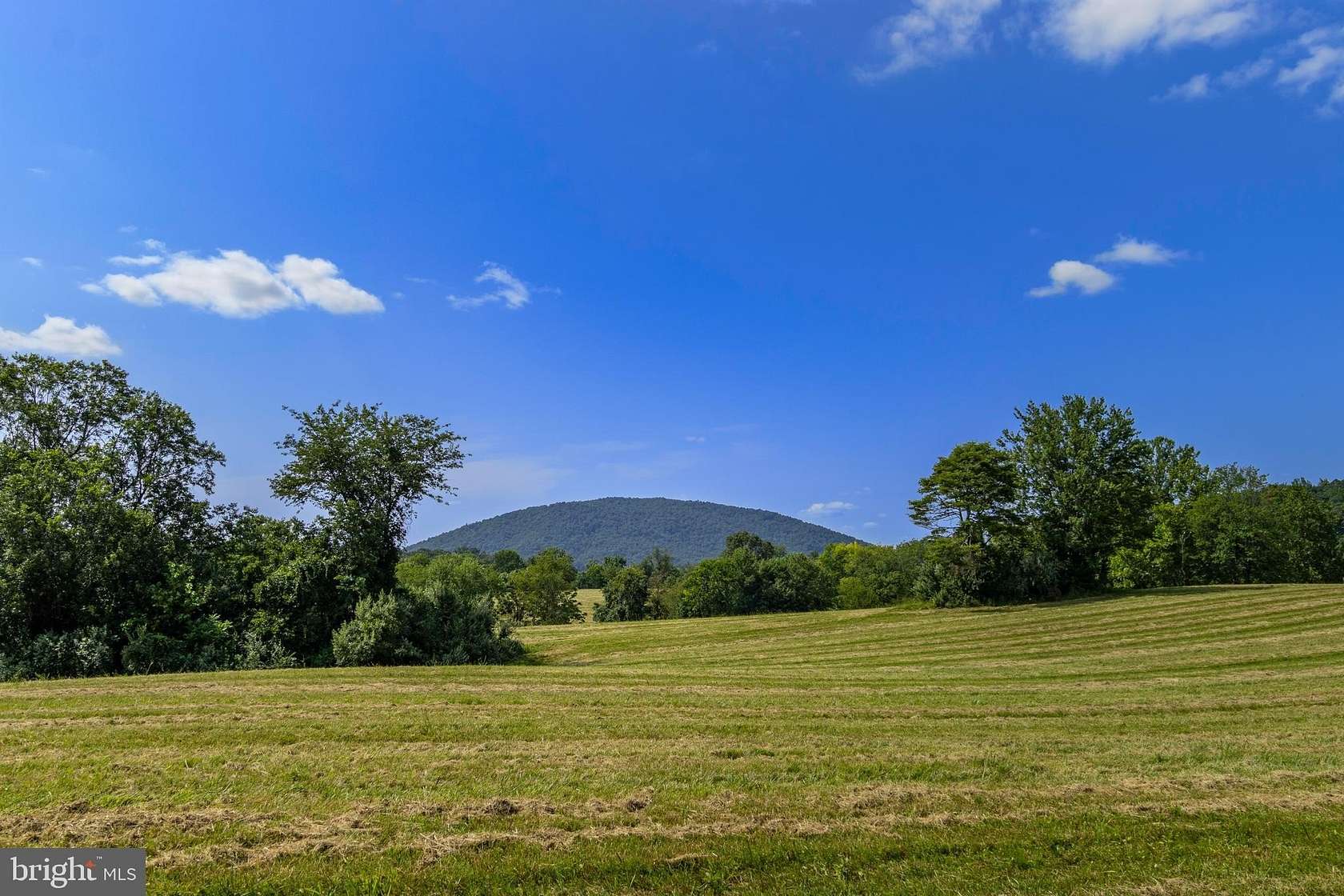 50 Acres of Land for Sale in Marshall, Virginia