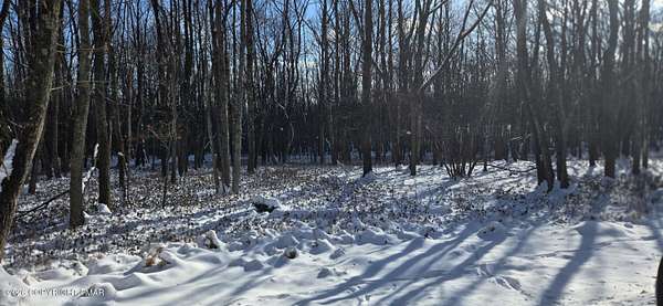 0.7 Acres of Residential Land for Sale in Albrightsville, Pennsylvania