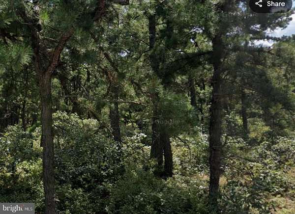 1 Acre of Land for Sale in Browns Mills, New Jersey