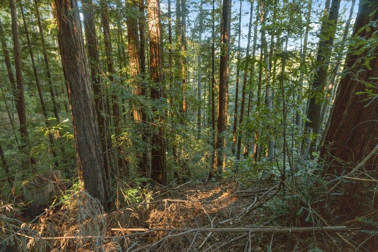 Residential Land for Sale in Ben Lomond, California