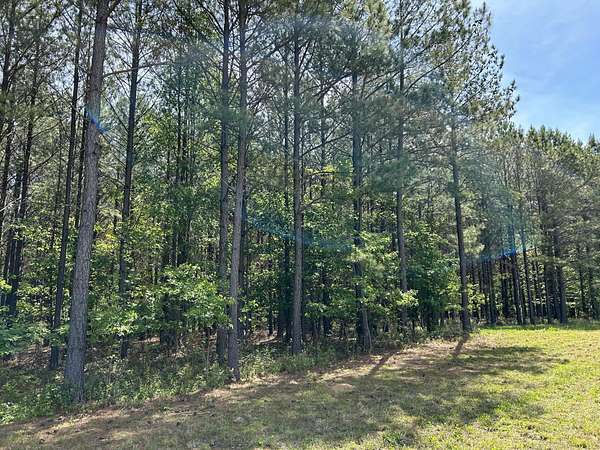 2.87 Acres of Residential Land for Sale in Jasper, Tennessee