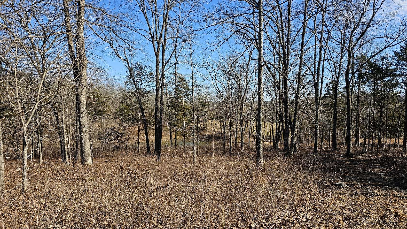 35 Acres of Land for Sale in Brixey, Missouri